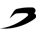 BoxRaw logo